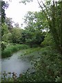 Shrewsbury Canal