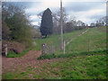 Footpath to Uphampton Farm