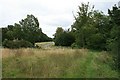 Ranmore Common Road: the pond