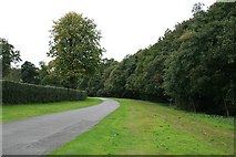 TQ1450 : Ranmore Common Road near North Lodge by Hugh Craddock