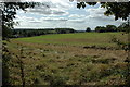 View south from Corse Wood Hill