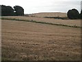 Arable land, East Wemyss