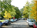 Leafy Pittville 1