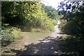 Footpath junction near West Hoath Wood