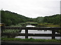 C1827 : Bunlin River from Bunlin Bridge by Willie Duffin