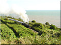 Paignton and Dartmouth Steam Railway