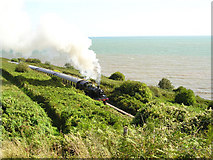 SX8958 : Paignton and Dartmouth Steam Railway by George Lloyd