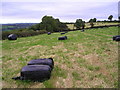 Silage bales