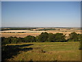 View north from the ramparts of Danebury fort