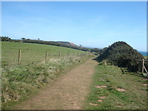 SY0279 : Coast Path, High Land of Orcombe, Exmouth by Stacey Harris