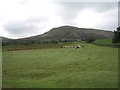 Common land below Twmpa