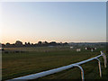 Plumpton Racecourse