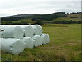 Silage rolls