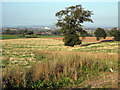 Fields at  Huntstile