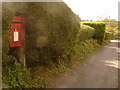 ST8720 : Cann: postbox № SP7 38, Foots Hill by Chris Downer