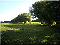 Fields Near Brackenridge