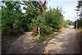 Path up to the Millennium Bridge, Maidstone