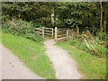 Wooden bridge, Malpas, Newport