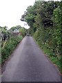 Lane approaching Hopebeck