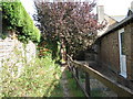 Footpath between The Vale and houses on The Quadrangle