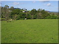 Footpath across field