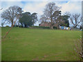 Meadow near Hatfield Church