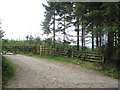 Footpath to Trelystan