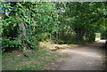 Bench by the Medway Valley Walk