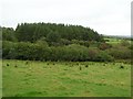 Garvagh Townland