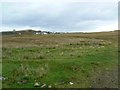 Track to Ullinish Point