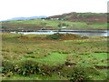 Grazing land overlooking Loch Beag