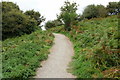 Nature trail footpath, Malpas