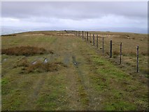 NS9501 : Fence on Gana Hill by Callum Black