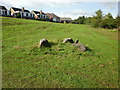 Wooden rabbits, Malpas, Newport