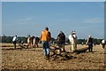 Surrey County Ploughing Match 2009 (8)