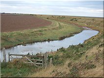 TF4926 : Drainage channel behind the sea bank by Richard Humphrey