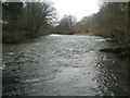 SD6295 : The River Lune near Crook of Lune Wood by David Medcalf