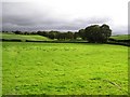 Killybrack Townland, Omagh