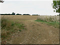 More farmland near Bridewell Farm Cottages, East End, Witney