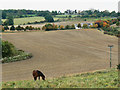 Field, east of Bridewell Farm, East End, Witney