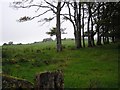 Tullyrusk Townland