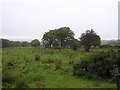 Tornagrough Townland