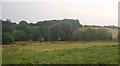 View to the River Medway