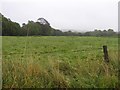 Barginnis Townland