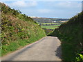 The lane down to Trenouth