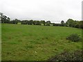 Ballynalough Townland