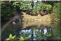 Pond near Church Farm