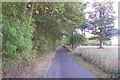 TQ7038 : Rectory Park Road near Lordship Wood by David Anstiss