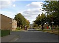 Bus stop and postbox on Coppice Drive, Netherton