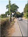 Bus stop in Swanmore Road (1)